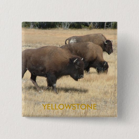 Büffelyellowstone-Knopf Button (Vorderseite)