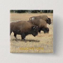 Büffelyellowstone-Knopf Button