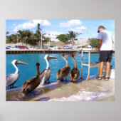 Buffet Poster (Vorne)