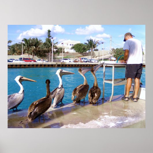 Buffet Poster (Vorne)