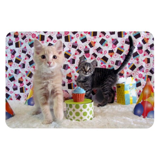 Buffington and Patton's Birthday Cat / Kitten Magnet (Horizontal)