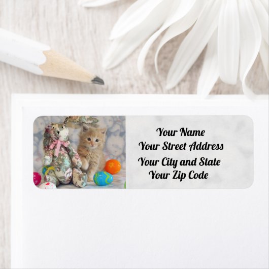 Buffington's Osteradressen Labels - Katze / Kitten (Insitu)