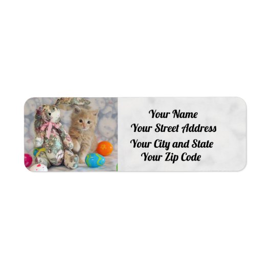 Buffington's Osteradressen Labels - Katze / Kitten (Vorne)