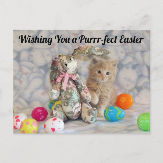 Buffington's Ostersonne - Katze / Kitten Postkarte (Vorderseite)