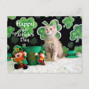 Buffington's St. Patrick's Day Cat / Kitten Postkarte