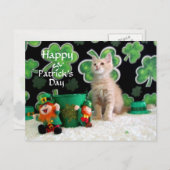 Buffington's St. Patrick's Day Cat / Kitten Postkarte (Vorne/Hinten)