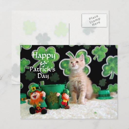 Buffington's St. Patrick's Day Cat / Kitten Postkarte (Vorne/Hinten)