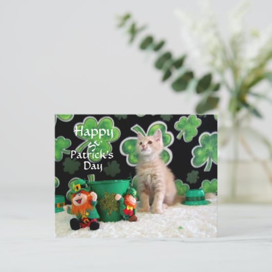 Buffington's St. Patrick's Day Cat / Kitten Postkarte (Stehend Vorderseite)