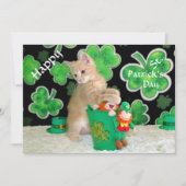 Buffington's St. Patrick's Day Flat Card - Katze (Vorderseite)