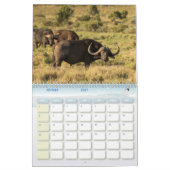 Buffle Calendar Buffalo Animal Kalender (Feb 2027)