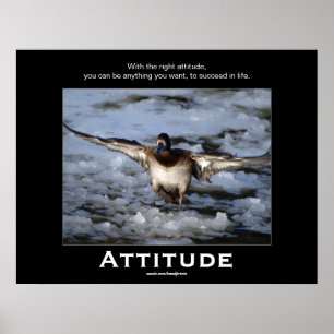 Bufflehead Duck Attitude Motivierend Poster