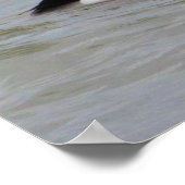 Bufflehead Duck Foto Poster (Ecke)