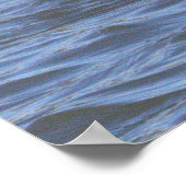 Bufflehead Duck Poster (Ecke)