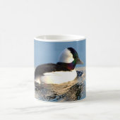 Bufflehead-Enten-Keramik-Tasse Kaffeetasse (Mittel)