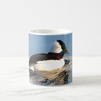 Bufflehead-Enten-Keramik-Tasse Kaffeetasse