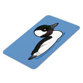 Bufflehead Magnet (Linke Seite)