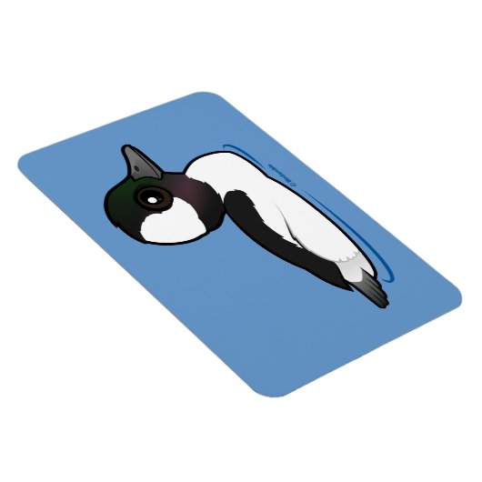 Bufflehead Magnet (Rechte Seite)