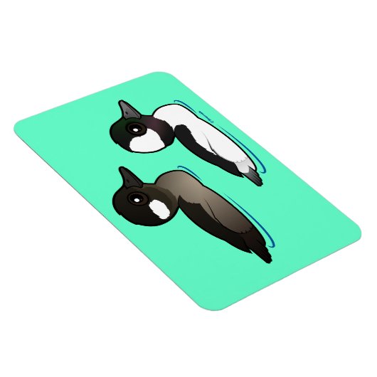 Bufflehead Pair Magnet (Rechte Seite)