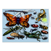 Bug (Vorderseite (Horizontal))