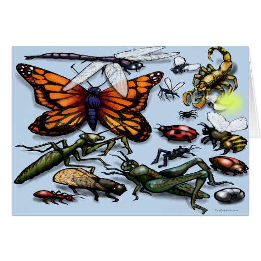 Bug (Vorderseite (Horizontal))