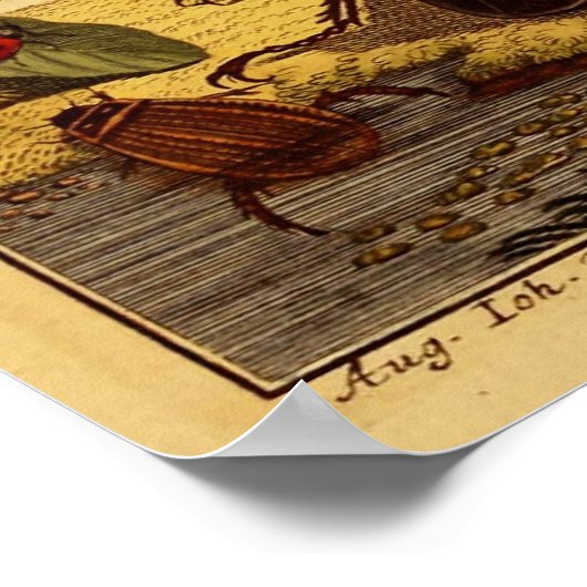 Bug 1764 poster (Ecke)