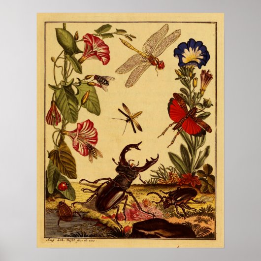 Bug 1764 poster (Vorne)