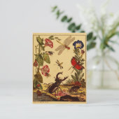 Bug 1764 postkarte (Stehend Vorderseite)