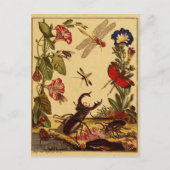 Bug 1764 postkarte (Vorderseite)