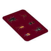 Bug 2011 magnet (Rechte Seite)