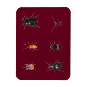 Bug 2011 magnet (Vertikal)