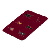 Bug 2011 magnet (Linke Seite)