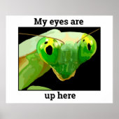 Bug 2 poster (Vorne)