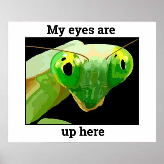 Bug 2 poster (Vorne)