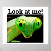 BUG 3 POSTER (Vorne)