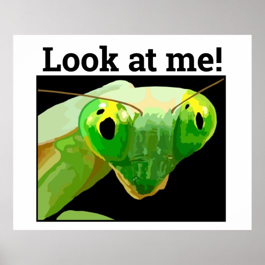 BUG 3 POSTER (Vorne)