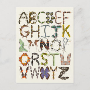 Bug Alphabet - Insektentheater Kinder Kunst Postkarte