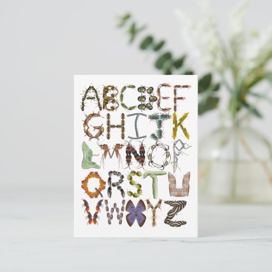 Bug Alphabet Kids Insect Thema ABC Postkarte (Stehend Vorderseite)