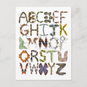 Bug Alphabet Kids Insect Thema ABC Postkarte (Vorderseite)