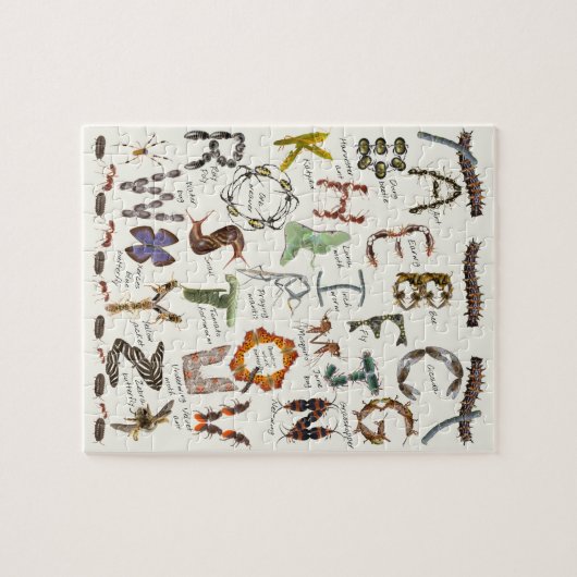 Bug Alphabet Puzzle \ Insect ABCs (Horizontal)