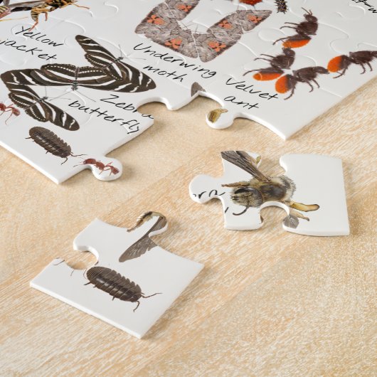 Bug Alphabet Puzzle \ Insect ABCs (Seite)