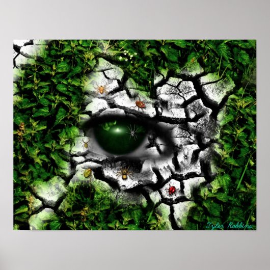 Bug - Auge Poster (Vorne)