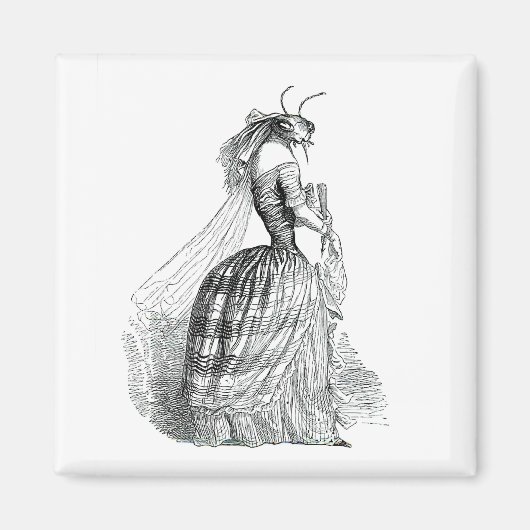 Bug Bustle Magnet (Vorne)