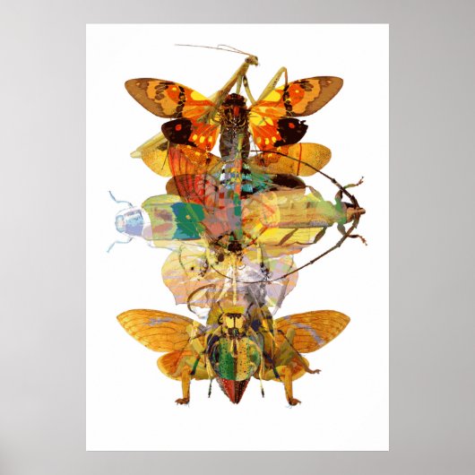 Bug Collage Poster (Vorne)