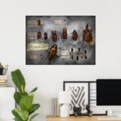 Bug Collector - Die Insektensammlung Poster (Heimbüro)