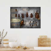 Bug Collector - Die Insektensammlung Poster (Küche)