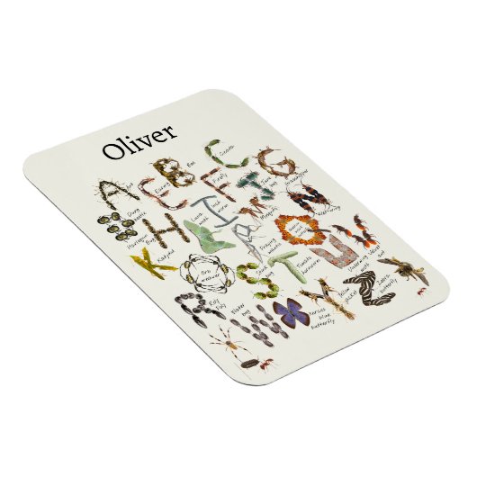 Bug Decor - Bug Alphabet für Kinder Magnet (Rechte Seite)