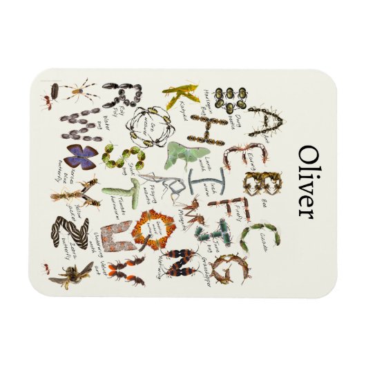 Bug Decor - Bug Alphabet für Kinder Magnet (Horizontal)