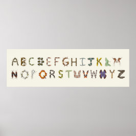 Bug Decor Insect oder Bug Alphabet Educational Poster