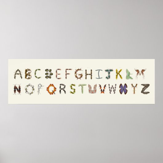 Bug Decor Insect oder Bug Alphabet Educational Poster (Vorne)