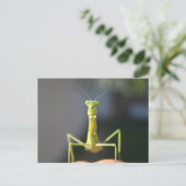 Bug dich postkarte (Stehend Vorderseite)